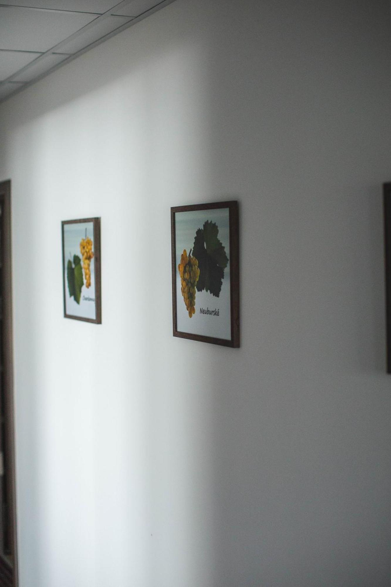 Apartmany Pemag Mikulov Eksteriør billede